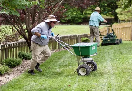 lawn care, fertilizing lawn
