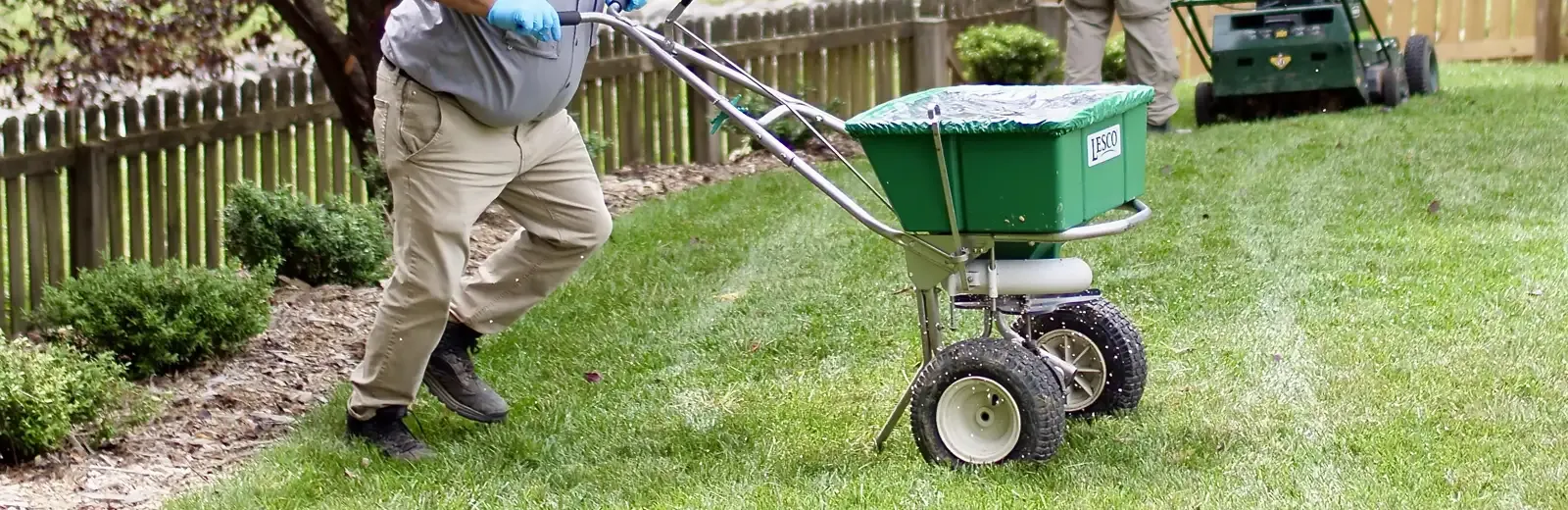 fertilizing lawn