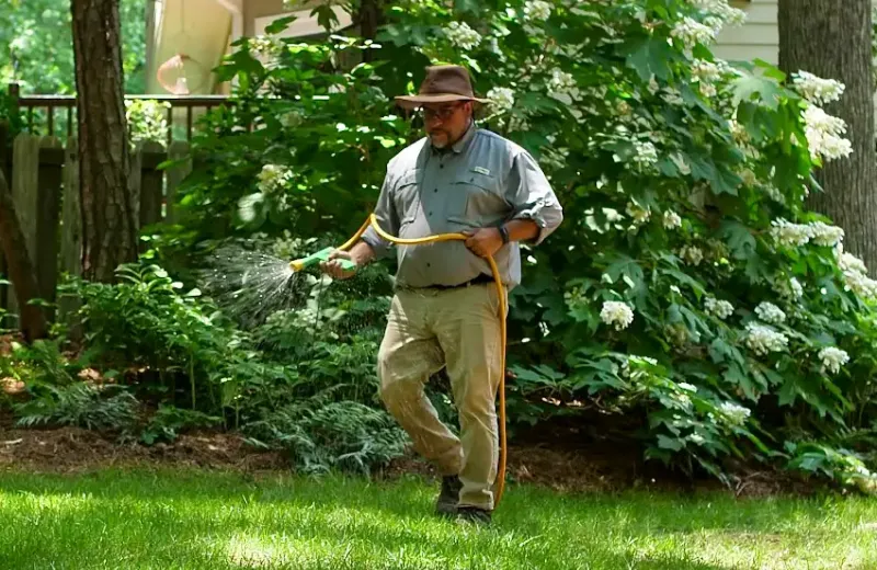Lawn Pest Control In Raleigh, NC Fire Ants, Grubs, Mosquitoes, Ticks