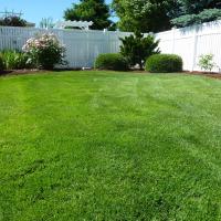when to grow grass seed in north carolina