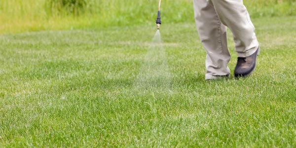 lawn care technician spraying yard