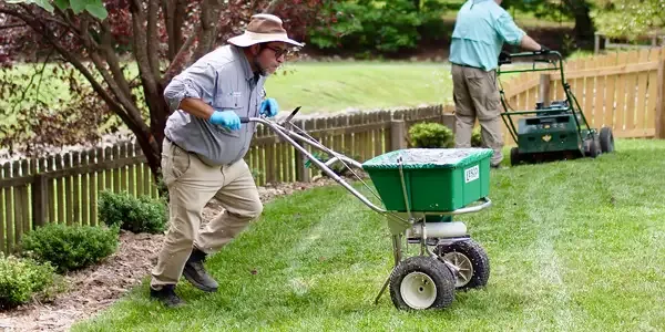 lawn care, tech fertilizing the lawn