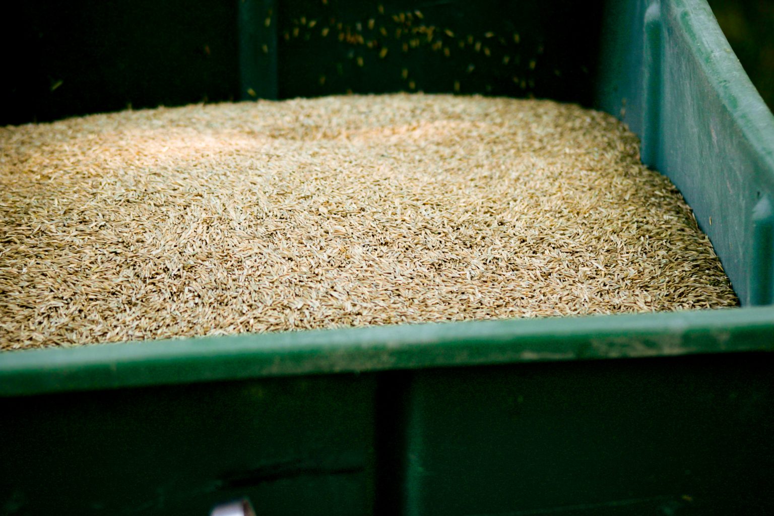 custom seed to grow a healthy lawn in raleigh area nc