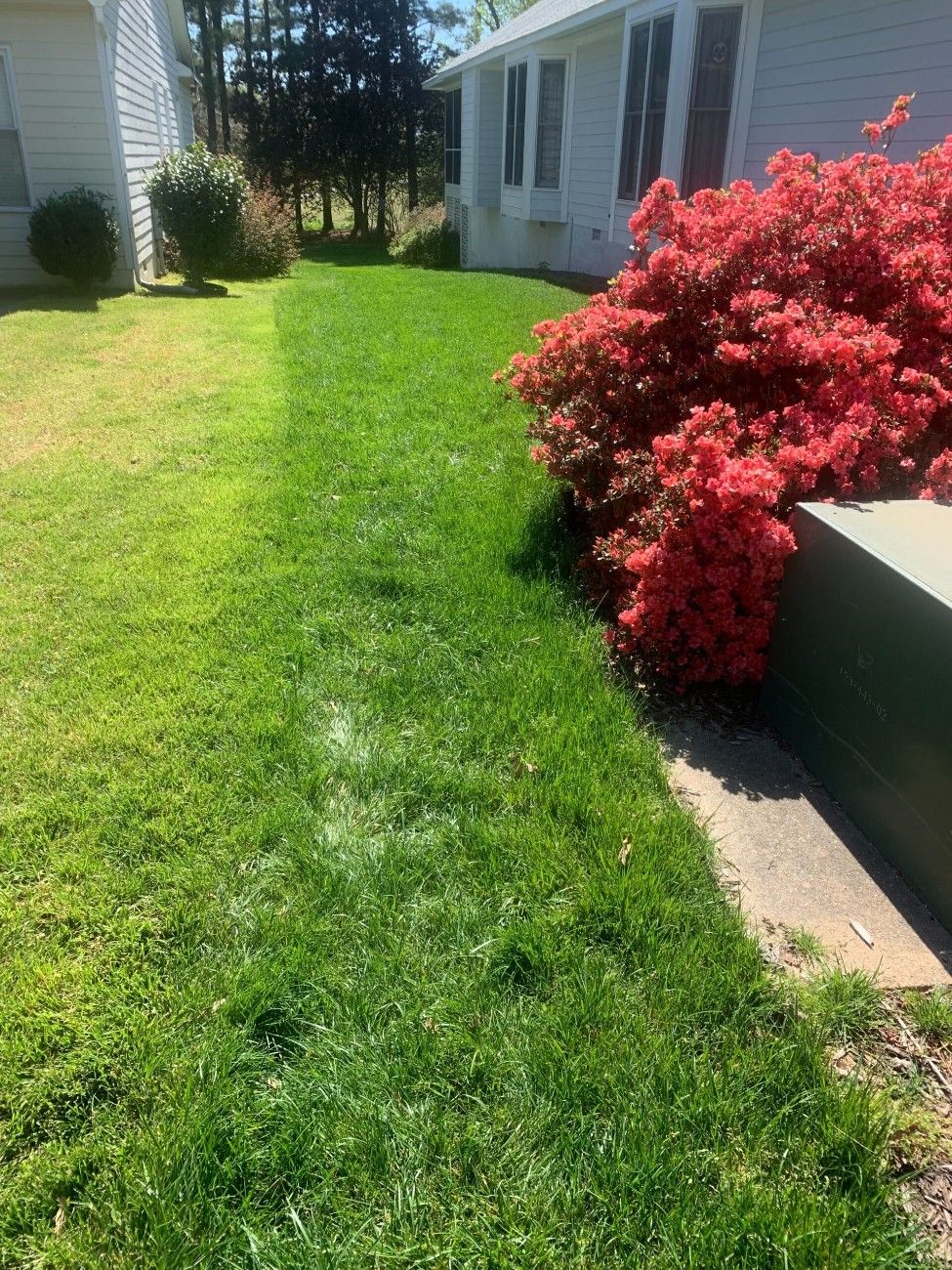 Triangle lawn showing uneven spring green-up with one section darker than another