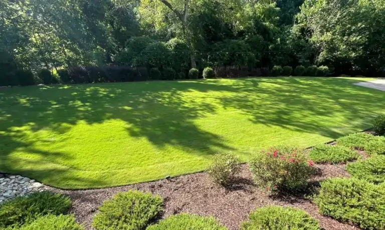 Homepage | Triangle Lawn