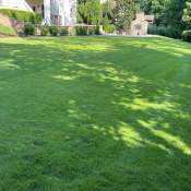 Spring lawn in the Triangle showing early seasonal growth and healthy turf