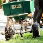 Applying fertilizer to bermudagrass lawn in spring raleigh nc