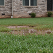 Spring rain pooling on clay soil lawn in Raleigh North Carolina