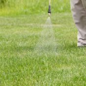 lawn care technician spraying yard