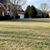 Patchy Bermuda grass lawn in early spring in the Triangle showing uneven green-up in April